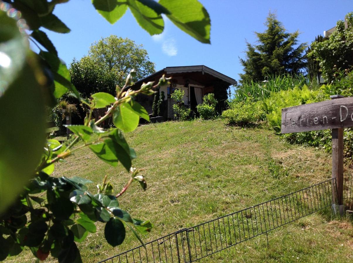 Ferienwohnung Casa Natura Reichelsheim Zewnętrze zdjęcie